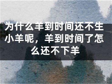 为什么羊到时间还不生小羊呢，羊到时间了怎么还不下羊