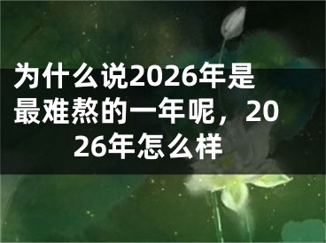为什么说2026年是最难熬的一年呢，2026年怎么样