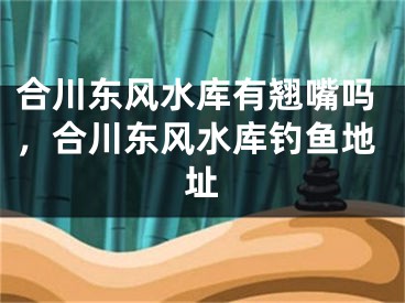 合川东风水库有翘嘴吗，合川东风水库钓鱼地址