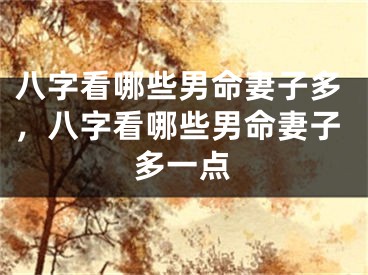 八字看哪些男命妻子多，八字看哪些男命妻子多一点