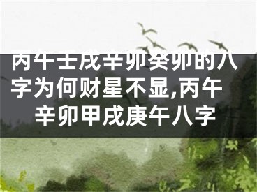 丙午壬戌辛卯癸卯的八字为何财星不显,丙午辛卯甲戌庚午八字