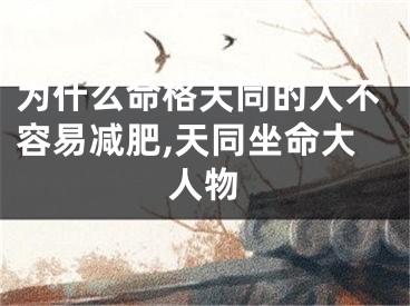 为什么命格天同的人不容易减肥,天同坐命大人物