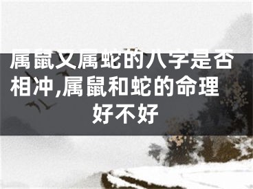 属鼠又属蛇的八字是否相冲,属鼠和蛇的命理好不好