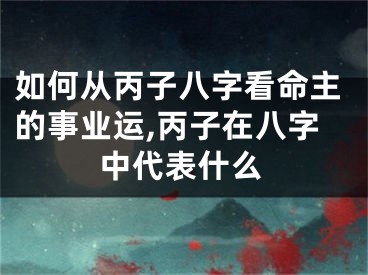 如何从丙子八字看命主的事业运,丙子在八字中代表什么