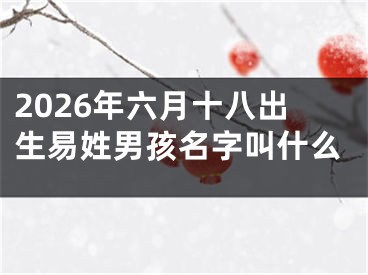 2026年六月十八出生易姓男孩名字叫什么