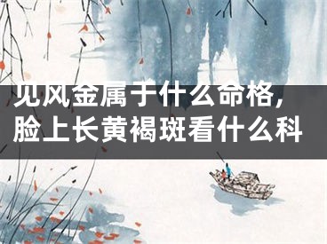 见风金属于什么命格,脸上长黄褐斑看什么科