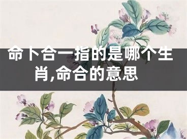 命卜合一指的是哪个生肖,命合的意思