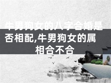 牛男狗女的八字合婚是否相配,牛男狗女的属相合不合