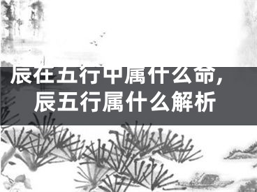 辰在五行中属什么命,辰五行属什么解析