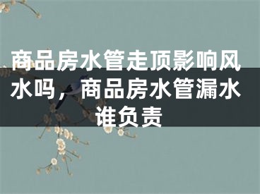 商品房水管走顶影响风水吗，商品房水管漏水谁负责