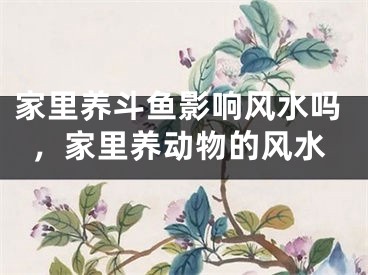 家里养斗鱼影响风水吗，家里养动物的风水