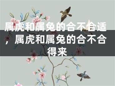 属虎和属兔的合不合适，属虎和属兔的合不合得来