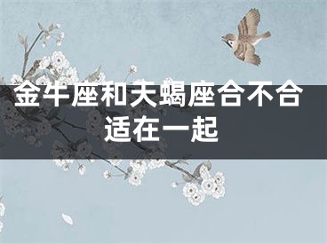 金牛座和天蝎座合不合适在一起