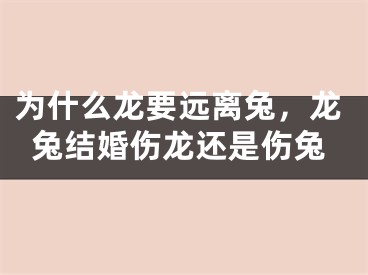 为什么龙要远离兔，龙兔结婚伤龙还是伤兔