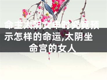 命主太阴女申时究竟预示怎样的命运,太阴坐命宫的女人