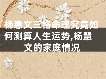 杨惠文三格命理究竟如何测算人生运势,杨慧文的家庭情况
