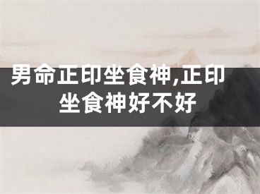 男命正印坐食神,正印坐食神好不好