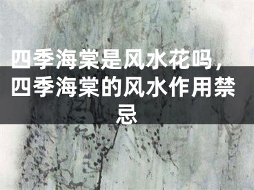 四季海棠是风水花吗，四季海棠的风水作用禁忌
