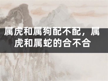 属虎和属狗配不配，属虎和属蛇的合不合