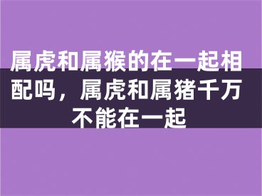 属虎和属猴的在一起相配吗，属虎和属猪千万不能在一起