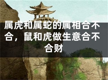 属虎和属蛇的属相合不合，鼠和虎做生意合不合财