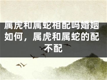 属虎和属蛇相配吗婚姻如何，属虎和属蛇的配不配