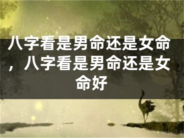 八字看是男命还是女命，八字看是男命还是女命好