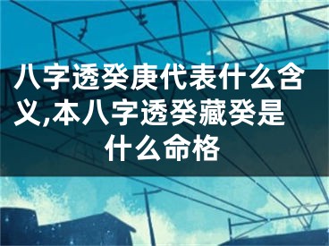 八字透癸庚代表什么含义,本八字透癸藏癸是什么命格
