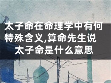 太子命在命理学中有何特殊含义,算命先生说太子命是什么意思