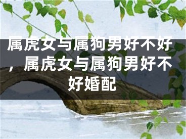 属虎女与属狗男好不好，属虎女与属狗男好不好婚配