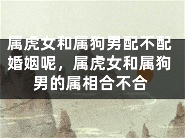 属虎女和属狗男配不配婚姻呢，属虎女和属狗男的属相合不合