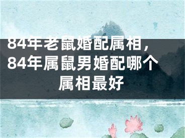 84年老鼠婚配属相，84年属鼠男婚配哪个属相最好