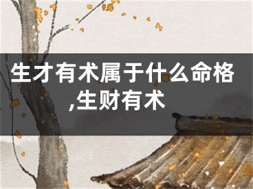 生才有术属于什么命格,生财有术
