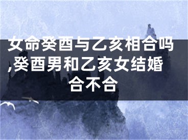 女命癸酉与乙亥相合吗,癸酉男和乙亥女结婚合不合