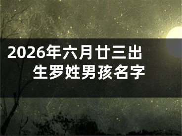 2026年六月廿三出生罗姓男孩名字