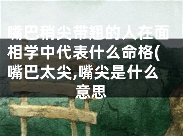 嘴巴稍尖带翘的人在面相学中代表什么命格(嘴巴太尖,嘴尖是什么意思