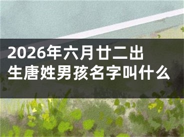 2026年六月廿二出生唐姓男孩名字叫什么
