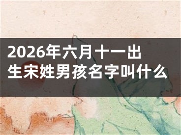 2026年六月十一出生宋姓男孩名字叫什么