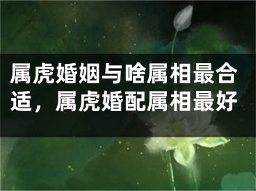属虎婚姻与啥属相最合适，属虎婚配属相最好