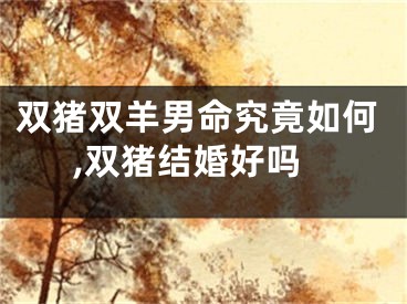 双猪双羊男命究竟如何,双猪结婚好吗
