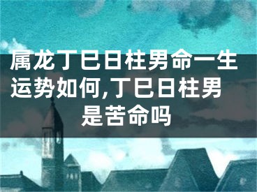 属龙丁巳日柱男命一生运势如何,丁巳日柱男是苦命吗