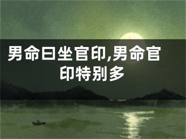 男命曰坐官印,男命官印特别多
