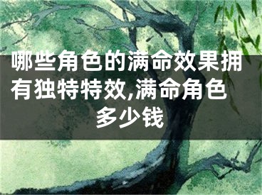 哪些角色的满命效果拥有独特特效,满命角色多少钱