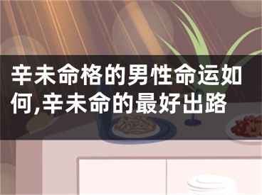 辛未命格的男性命运如何,辛未命的最好出路