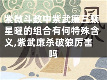 紫微斗数中紫武廉三颗星曜的组合有何特殊含义,紫武廉杀破狼厉害吗