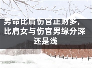 男命比肩伤官正财多,比肩女与伤官男缘分深还是浅