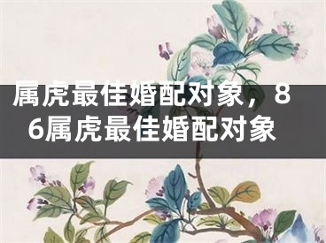 属虎最佳婚配对象，86属虎最佳婚配对象