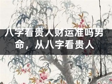 八字看贵人财运准吗男命，从八字看贵人