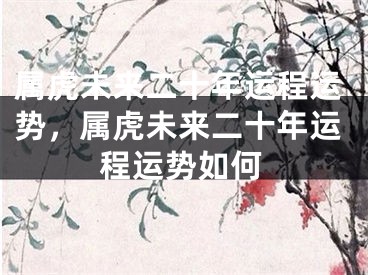 属虎未来二十年运程运势，属虎未来二十年运程运势如何