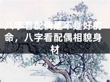 八字看配偶是不是好的命，八字看配偶相貌身材
